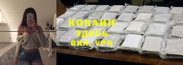 spice Алзамай