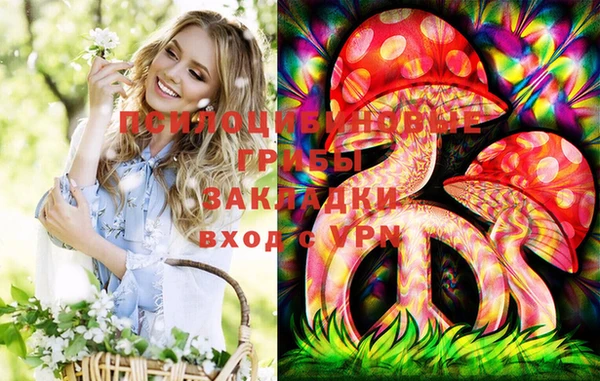 spice Алзамай