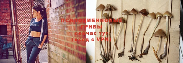 spice Алзамай